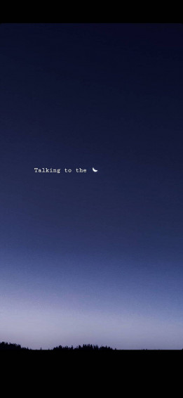 Talking To The Moon Quotes Wallpaper