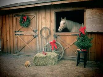 Country Christmas Horses Photo