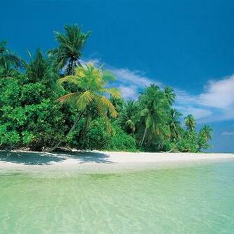 Tropical Beach Screensaver