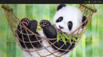 Amazon Panda Wallpaper Appstore For Android
