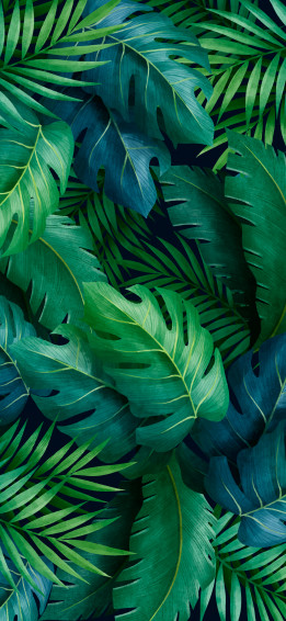 Leaves Aesthetic Wallpaper By Babepedia
