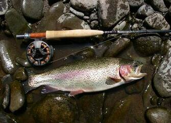 Information On Trout Fishing In The Missouri Ozarks Current River