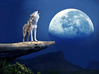 Wolf And Moon Wallpaper