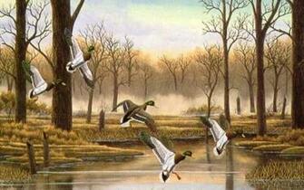 Ducks Wallpaper Desktop