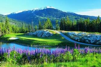Summer Mountain Golf In Whistler Travel Mountains
