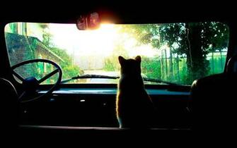 Road Trip Wallpaper