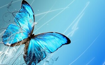 Butterfly Wallpaper 3d Nature