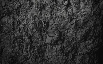 Pulsarmedia Eu Data Media Rock Apple Wall Jpg