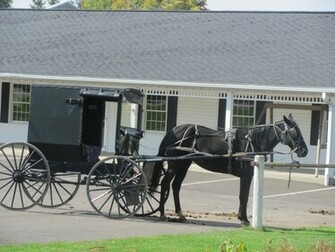 Pays Amish Wallpaper