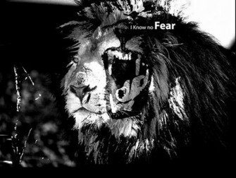 No Fear Wallpaper
