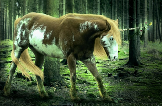 Mother Nature Wallpaper By Baukjespirit