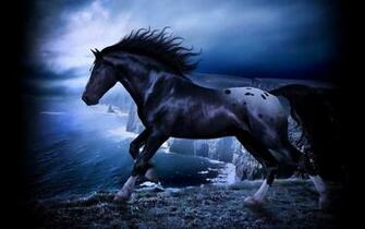 Black Horse Image Wallpaper Collection
