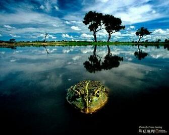 National Geographic Wallpaper Background