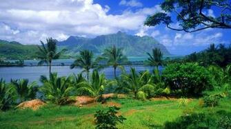 Nature Pixel Fish Fishing Large Hawaii Wallpaper Full HD