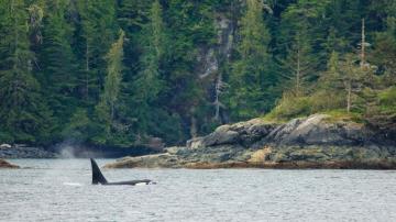 Touring Vancouver Island Rv Lifestyle Magazine