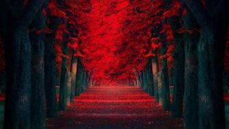 Beautiful Road Wallpaper HD The Nology