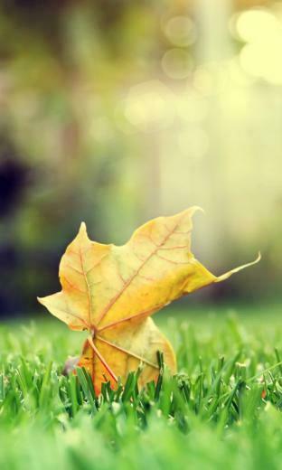 Best Samsung Galaxy Grand Wallpaper Tech Brij
