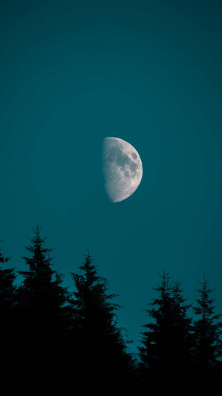 The Moon iPhone Wallpaper