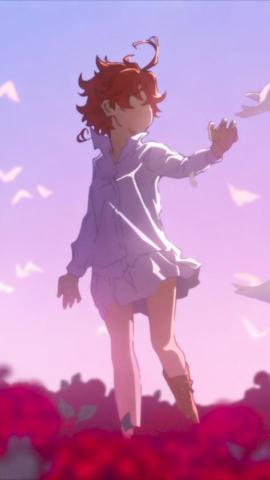 Anime The Promised Neverland