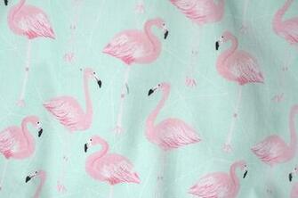Flamingo Wallpaper