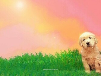Dog Wallpaper Dogs