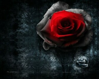 Anathema Band Desktop Wallpaper Ab413 Rock