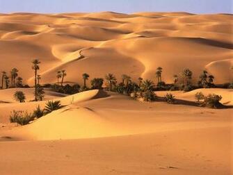 Desert Wallpaper Top Desktop No
