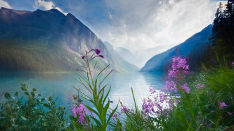 Windows Wallpaper Just Released By Microsoft