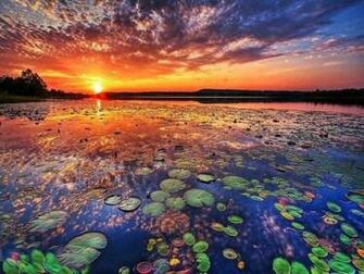Peaceful Beautiful River Wallpaper
