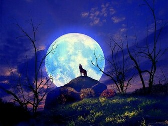 Super Moon HD Wallpaper