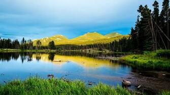 Colorado Usa Forest Wallpaper Resolution