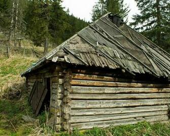 Cabin In The Forest Wallpaper World