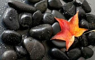 Gorgeous Black Stones Red Autumn Leaf HD Desktop Wallpaper