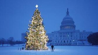 Christmas Tree Wallpaper Background HD Image Amp Pictures