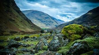 HD Wallpaper Scottish Highlands Heather X Kb Jpeg