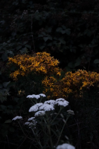 Aesthetic Indie Grunge Wallpaper On