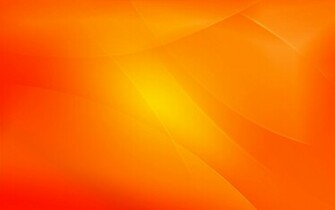 Orange Wallpaper Flower