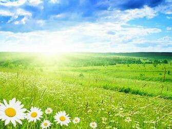 Spring Desktop Screensavers Wallpaper