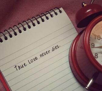 True Love Never Dies Wallpaper