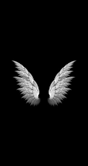 Angel Wings Simple Wallpaper Black iPhone