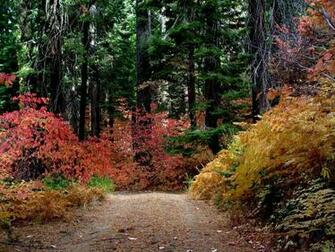Fall Wallpaper Country Road Desktop Background Computer