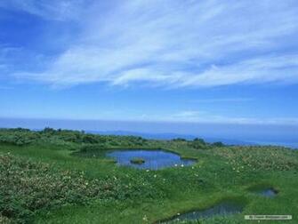 Wallpaper Nature Season Summer