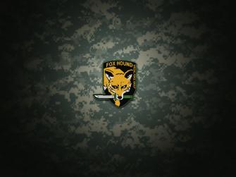 Foxhound Computer Wallpaper Desktop Background Id