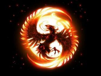The Phoenix Wallpaper HD Desktopinhq