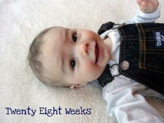Wallpaper Pregnancy Countdown High Definition