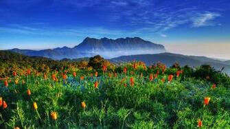 Chiang Mai Thailand Dao Mountain Wildlife Sanctuaries Wallpaper