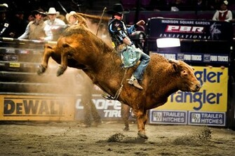 Pbr Wallpaper