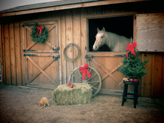 Horses Photo Country Christmas