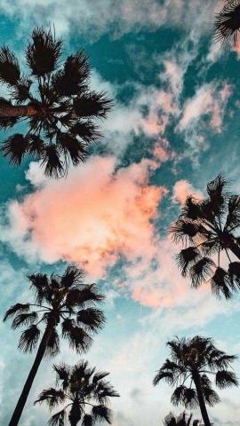 Summer Artsy Wallpaper