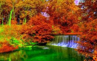 Copper Color Autumn Wallpaper Description Forest